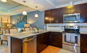 Luxurious Kitchen of Atlantic House Apartment in Midtown Atlanta