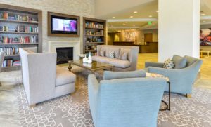 Spacious Living Area with Elegant Furniture in Our Luxury High Rise Apartments in Midtown Atlanta
